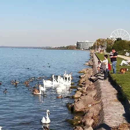 Holiday In Siofok/balaton 19681 度假居 *